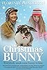 Primary photo for The Christmas Bunny Primary photo for The Christmas Bunny