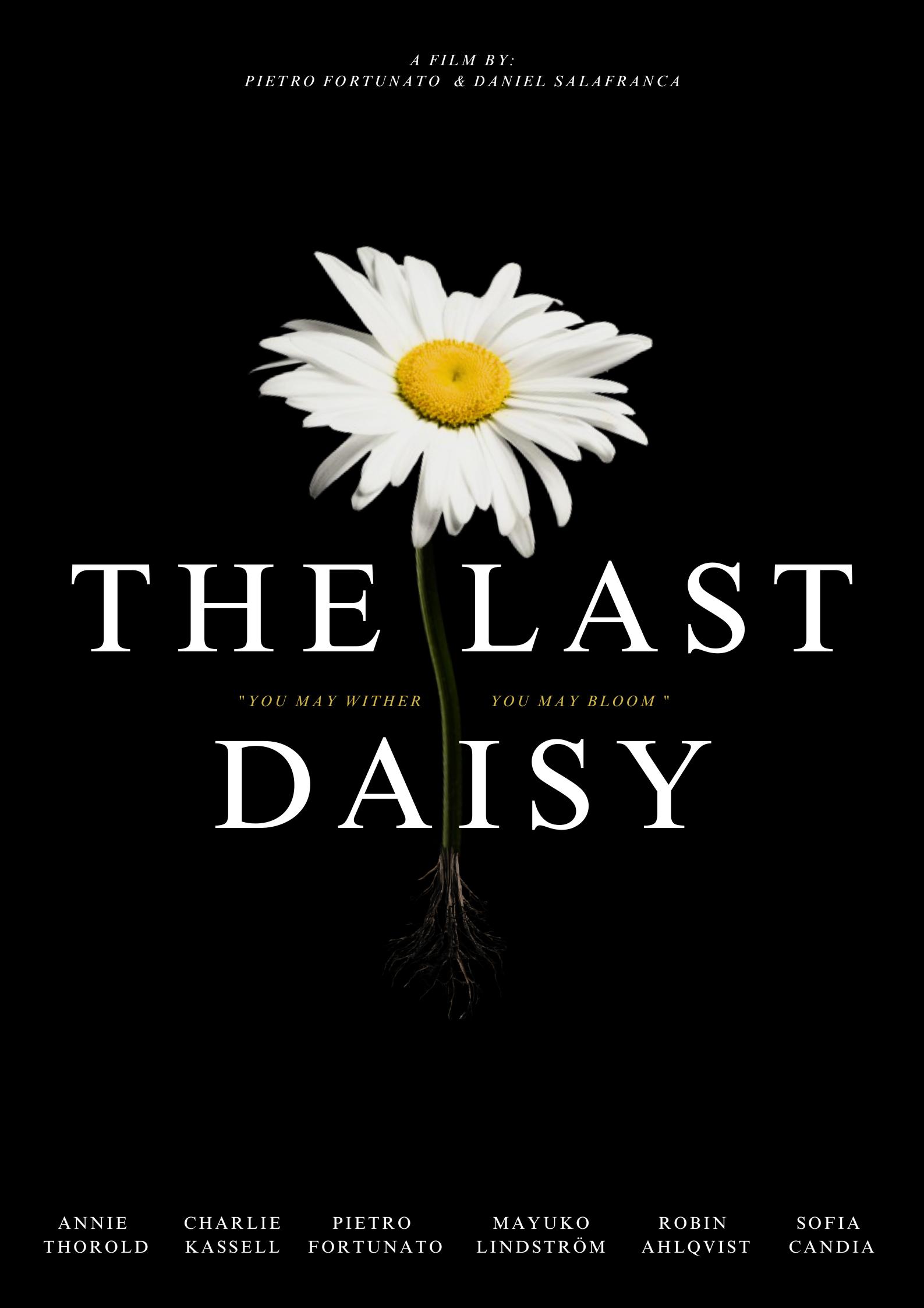 The Last Daisy