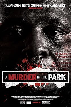Poster of A Murder in the Park