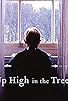 Primary photo for Up High in the Trees