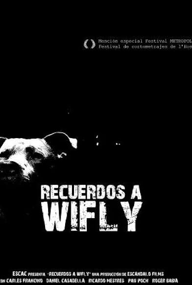 Primary photo for Recuerdos a Wifly Primary photo for Recuerdos a Wifly