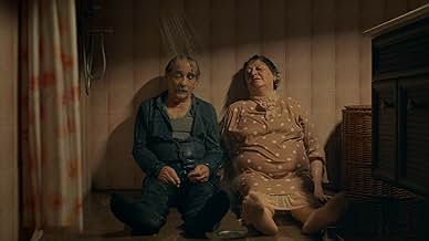 पोस्टर देखें