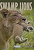 Primary photo for Swamp Lions