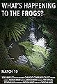What's Happening to the Frogs?'s primary photo
