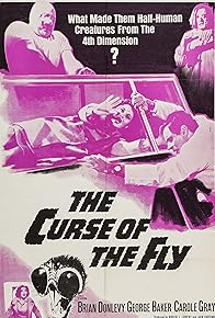 Primary photo for Curse of the Fly