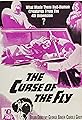 Curse of the Fly's primary photo