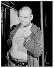 पोस्टर देखें