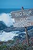 Primary photo for Big Sur Gay Porn Primary photo for Big Sur Gay Porn