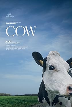 Poster of Cow