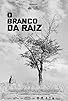 Primary photo for O Branco da Raiz Primary photo for O Branco da Raiz