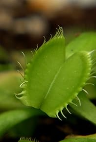 Primary photo for Deadly Plants