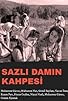 Primary photo for Sazli damin kahpesi Primary photo for Sazli damin kahpesi