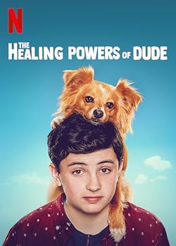 Poster of The Healing Powers Of Dude