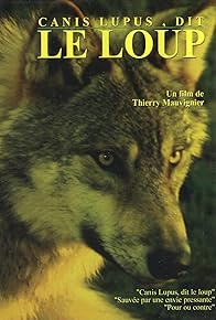 Primary photo for Canis lupus, dit le loup