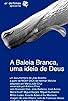 Primary photo for A Baleia Branca - Uma Ideia de Deus Primary photo for A Baleia Branca - Uma Ideia de Deus