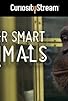 Primary photo for Super Smart Animals