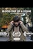 Primary photo for Blood Out of a Stone