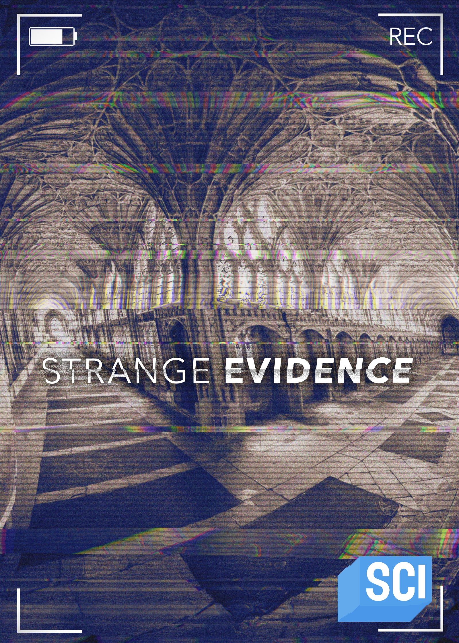 Poster of Strange Evidence
