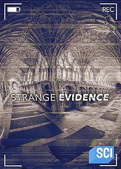 Poster of Strange Evidence