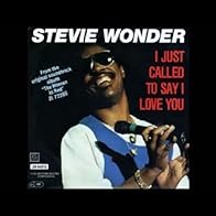 Primary photo for Stevie Wonder: I Just Called to Say I Love You
