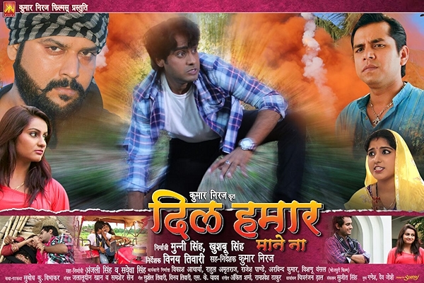 Movie poster for DIL HAMAR MANE NA (UA rated)