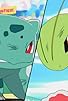 Primary photo for Meganium vs Fushigidane! Spirit of the Grass Types!