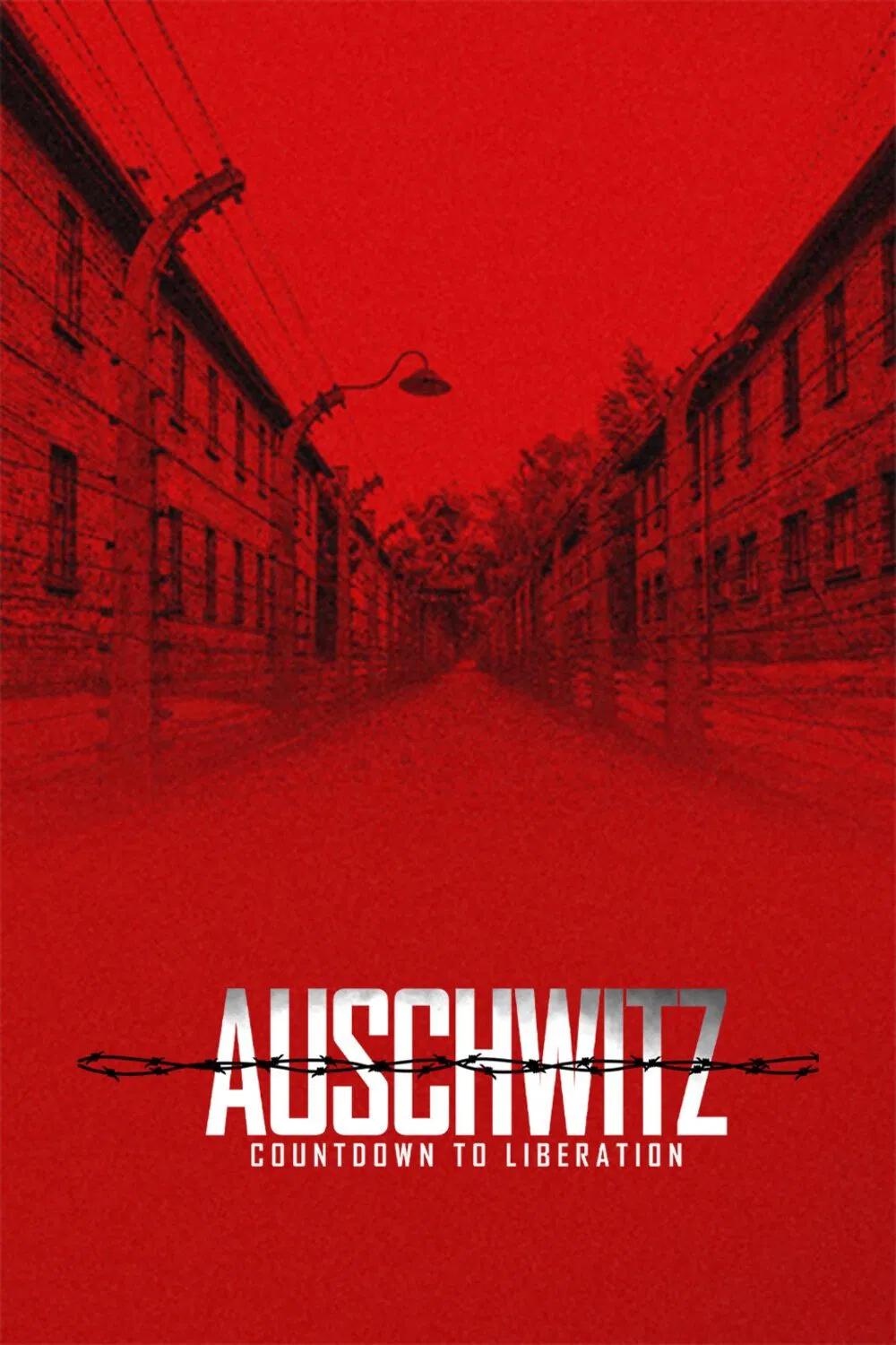 Poster of Auschwitz: Countdown to Liberation