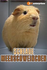 Primary photo for The Real Guinea Pig