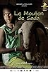 Primary photo for Le mouton de Sada Primary photo for Le mouton de Sada