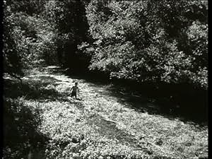 Back to School (1955) Back to School (1955)