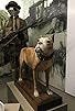 Primary photo for Exorcism, Honey Island Swamp Monster, the Real James Bond, La Belle Shipwereck, Sgt. Stubby Primary photo for Exorcism, Honey Island Swamp Monster, the Real James Bond, La Belle Shipwereck, Sgt. Stubby
