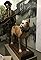 Exorcism, Honey Island Swamp Monster, the Real James Bond, La Belle Shipwereck, Sgt. Stubby's primary photo