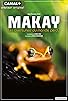 Primary photo for Madagascar: The Lost Makay Primary photo for Madagascar: The Lost Makay