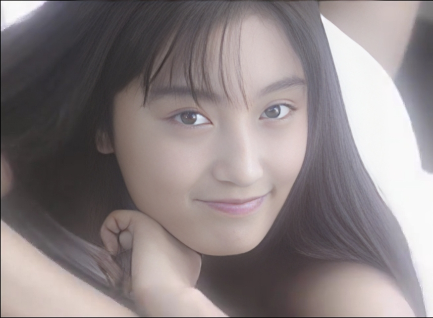 The Metropolitan Police Branch 82 (1995)