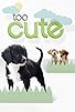 Primary photo for Too Cute! Primary photo for Too Cute!