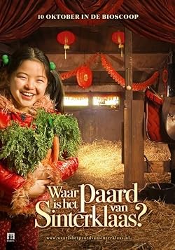 Poster of Waar is het paard van Sinterklaas?