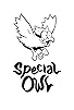 Primary photo for Special Owl Primary photo for Special Owl