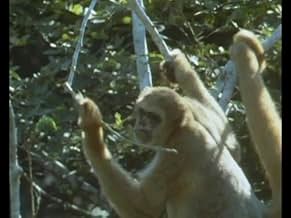 पोस्टर देखें