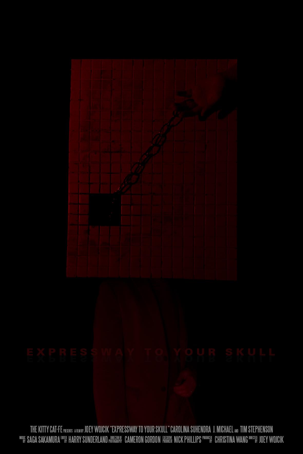 Expressway to Your Skull