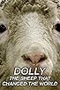 Primary photo for Dolly: The Sheep That Changed the World Primary photo for Dolly: The Sheep That Changed the World