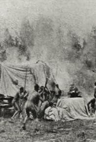 Primary photo for Vengeance of the Wilds