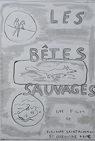Primary photo for Les bêtes sauvages
