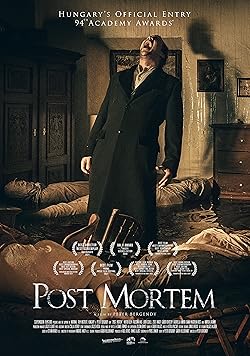 Poster of Post Mortem