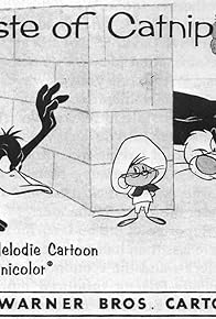 Primary photo for A Taste of Catnip Primary photo for A Taste of Catnip