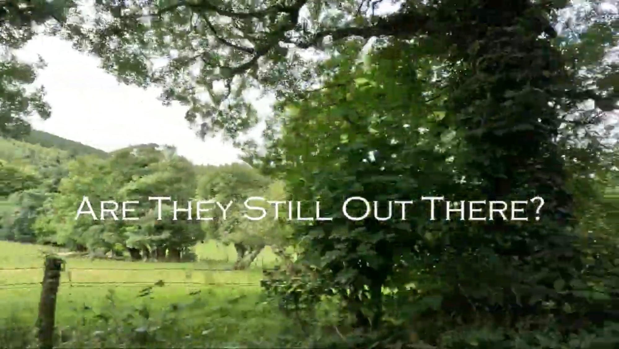 Are they still out there?