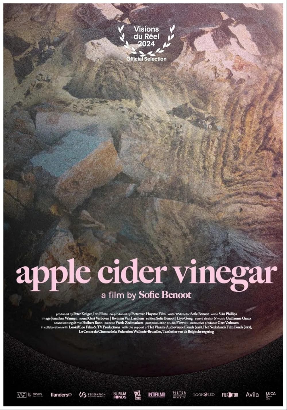 Apple Cider Vinegar 2024 IMDb apple-cider-vinegar-2024-imdb