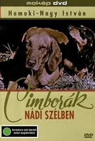Primary photo for Cimborák - Nádi szélben