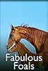 Primary photo for Fabulous Foals