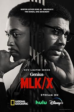 Poster of Genius