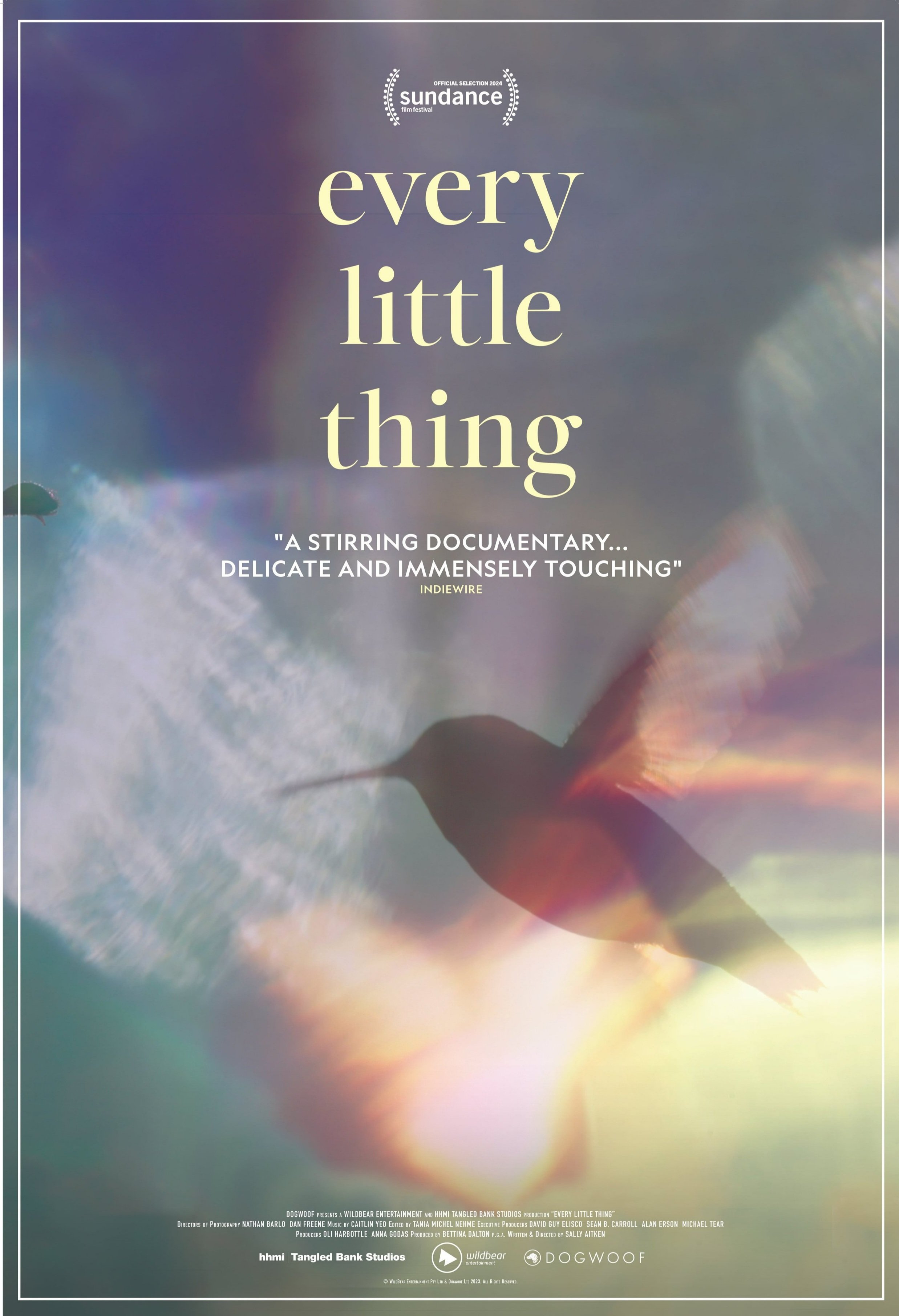 Every Little Thing (2024) - IMDb